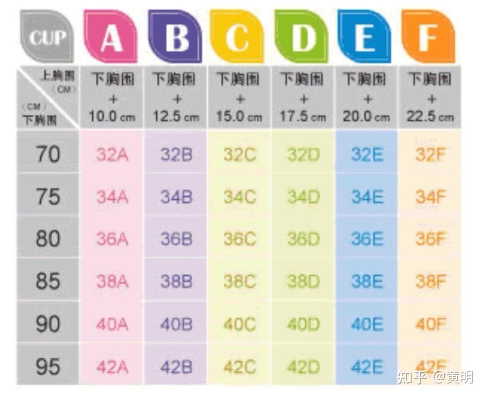 文胸尺码对照表3680