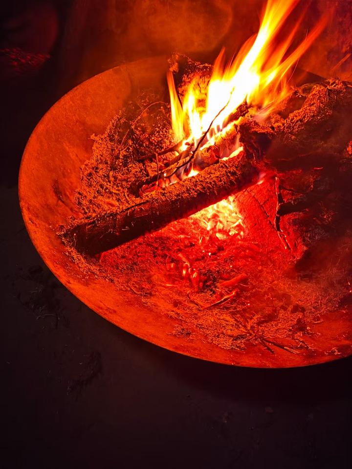 “毒树之果”到底能不能吃? - 知乎