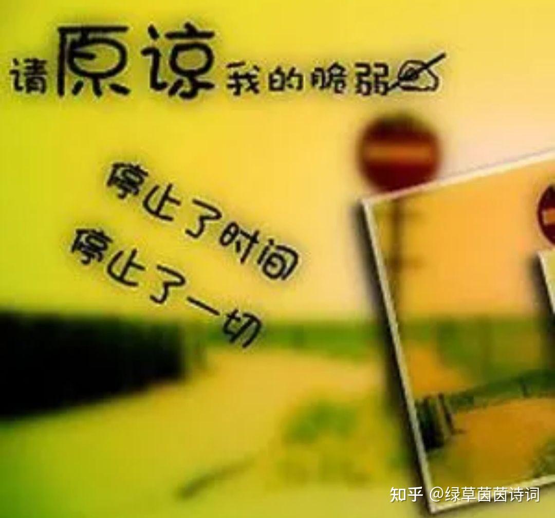 曾经伤害欺骗过我的人，还能原谅吗？ - 知乎