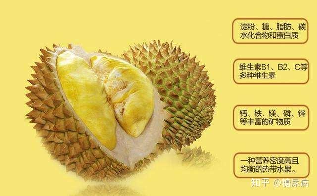 榴莲和菠萝蜜哪个营养价值更高