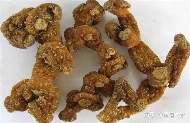 黄精的功效多样，分享21种妙用 - 知乎