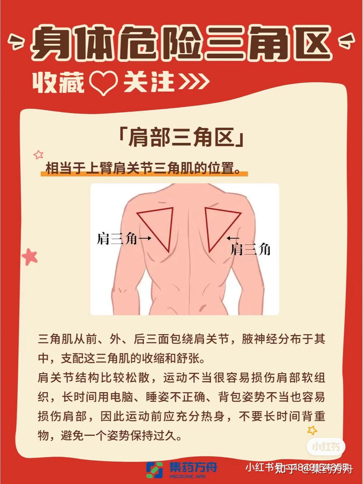 养生|身上的危险三角区,个个掌握健康命脉 - 知乎