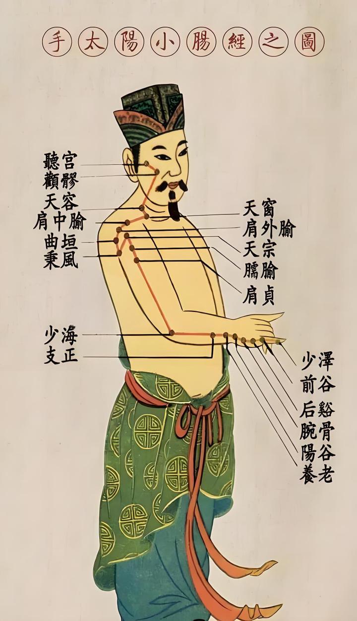 手太阳小肠经的穴位信息表及简要针灸指南 - 知乎