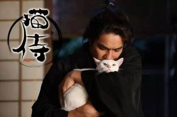 平澤重信・作『猫』 | venezafoods.com.br