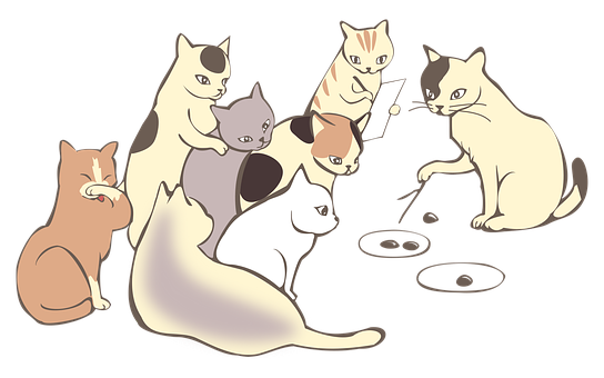 活动资料整理与归档建议