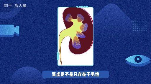 包含打了十几年的飞机肾虚能恢复吗知乎的词条