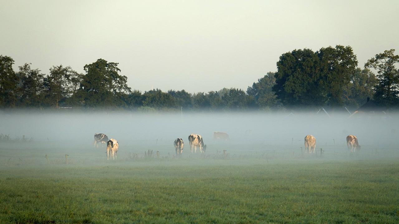 老房翻新注意事项