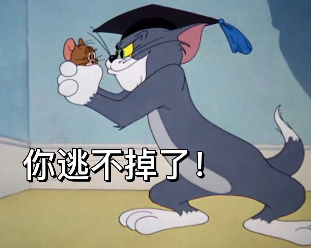 你微信里有哪些猫和老鼠的表情包