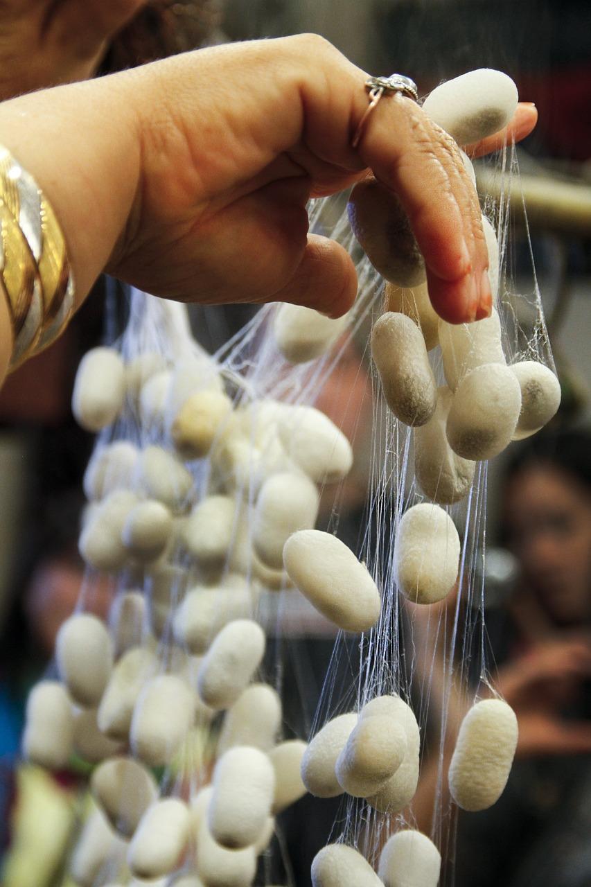 5. 蚕丝茧批发价格