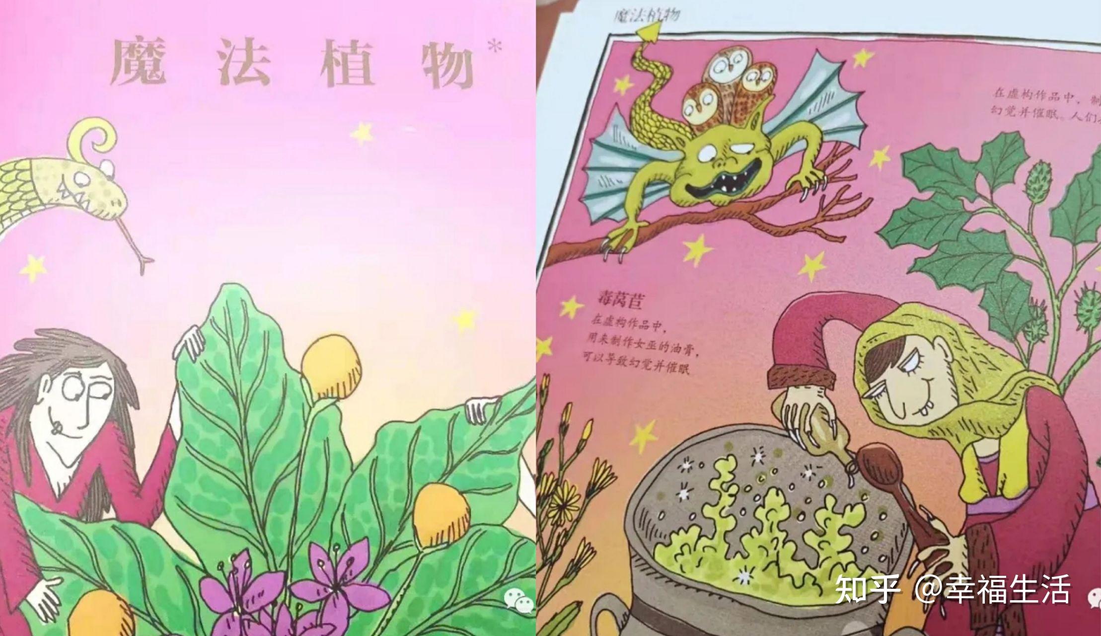 有哪些科学领域的绘本