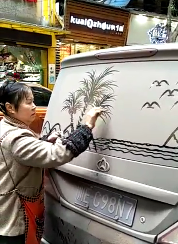 泸州大姐车窗作画欢迎红嘴鸥 高手在民间!