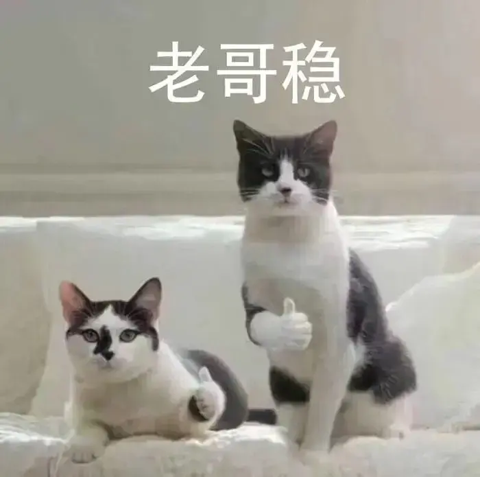 有哪些可爱/搞笑的猫狗表情包?