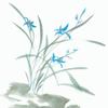 阳明