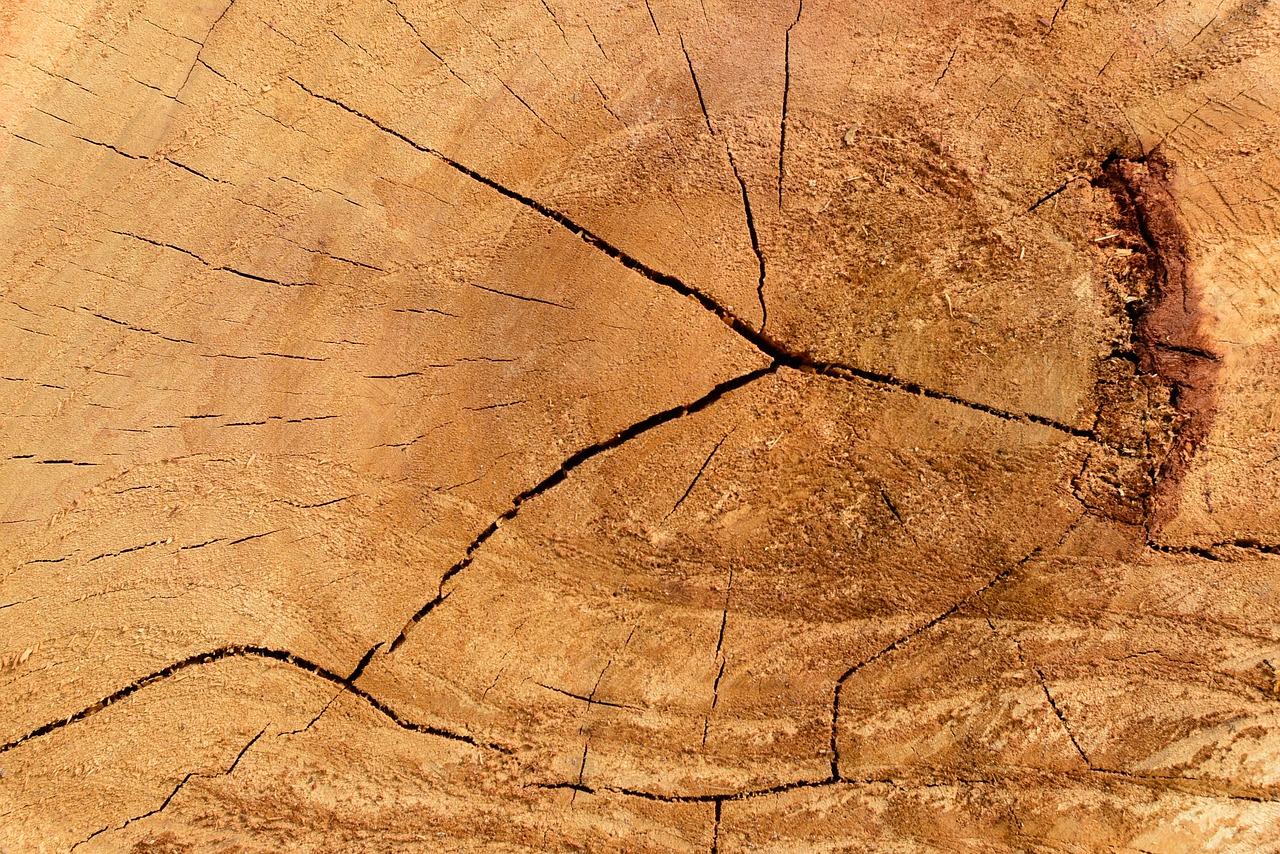 4. 藤席去刺简易招