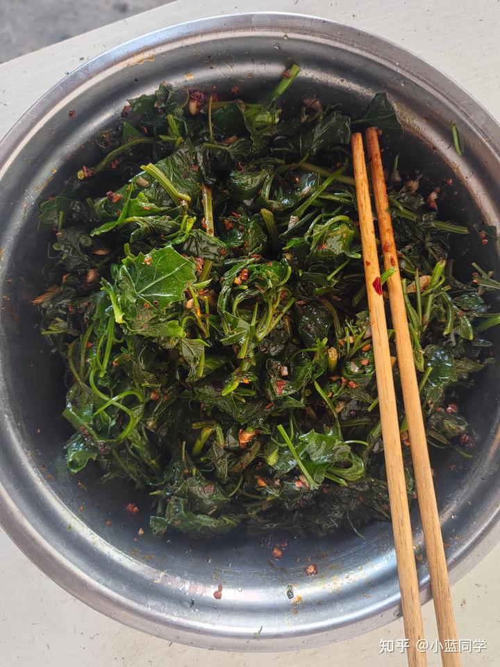 人，可以废物到什么程度？