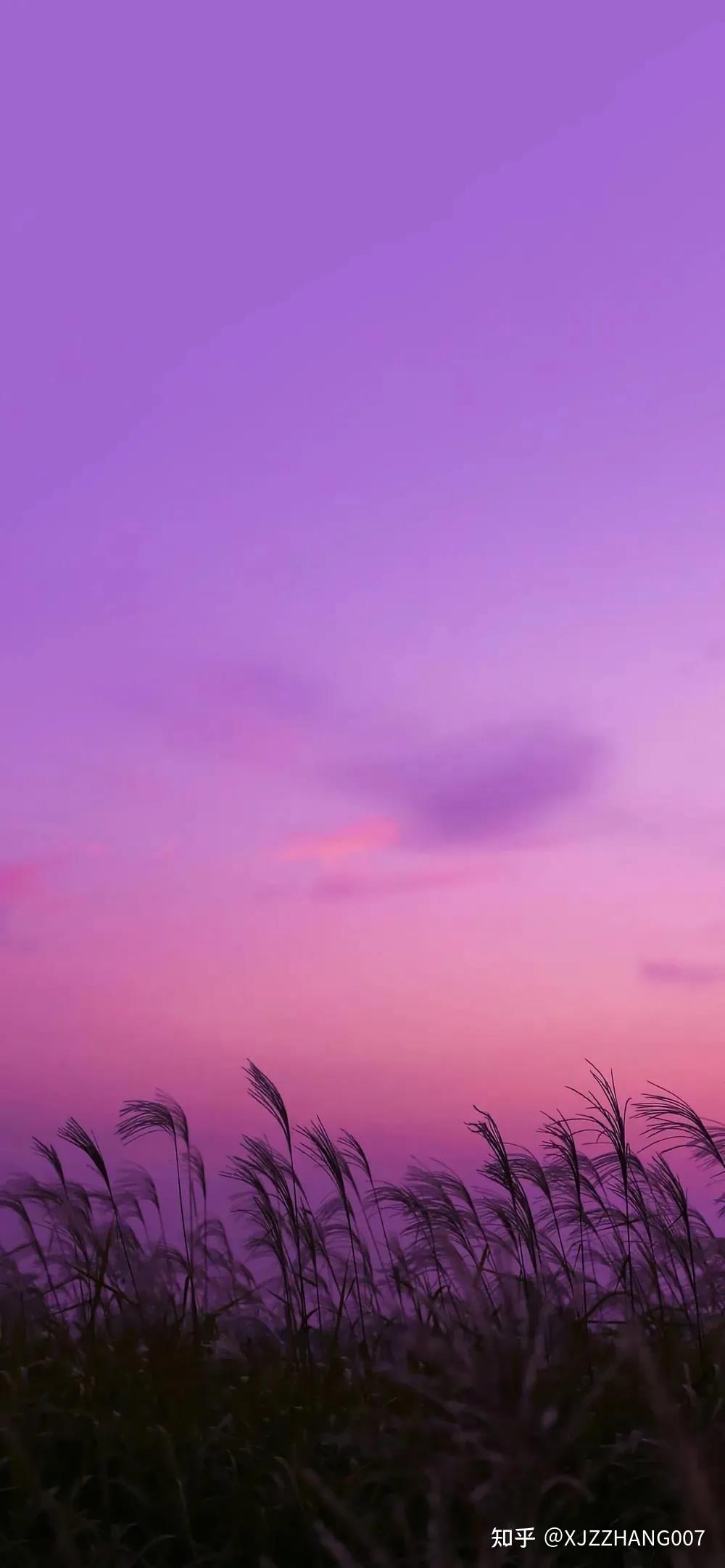 更换微信背景图片的人_背景图怎么换微信_怎么在微信换背景图片