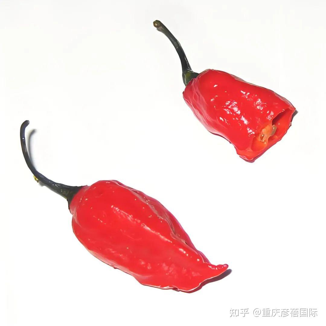 全球最辣的十种辣椒!第一名辣度超300万SHU - 知乎