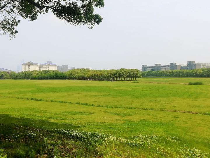 SAP WM Stock Removal Strategy A(Partial Pallet Quantity) II 知乎