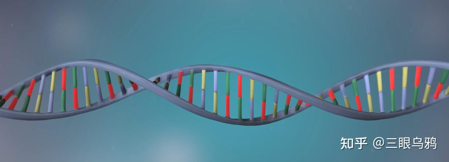 美国分子生物学家、DNA 双螺旋结构发现者沃森去世,如何理解他一生的贡献? - 知乎
