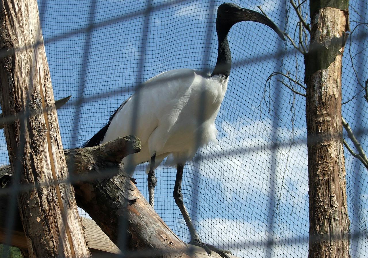 核心商圈物业旺