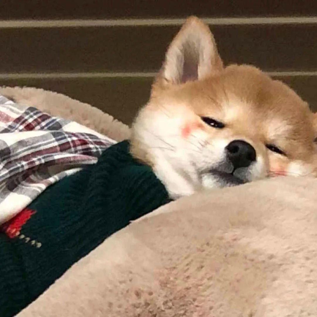 有没有酷酷的男生头像显得高冷那种