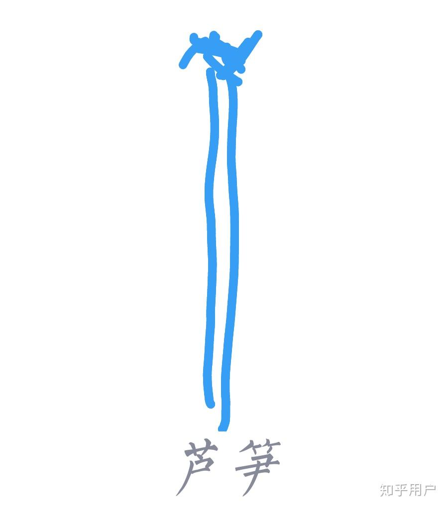 如何评价 qq 画图红包? - 知乎