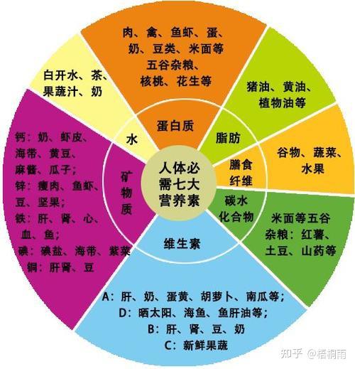 营养学 营养 营养成分 热点话题 健康365 人体所需这些营养元素