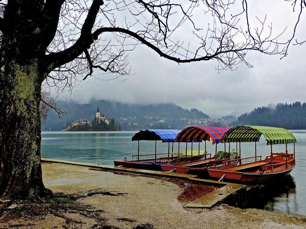 道义到世博园怎么坐车