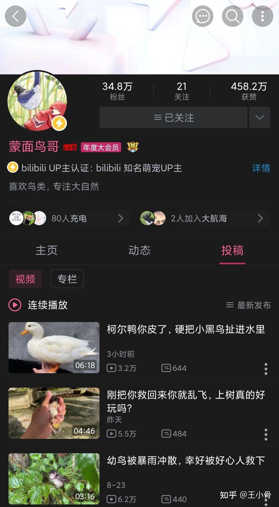 b站up主蒙面鸟哥和天下一场梦是什么关系?