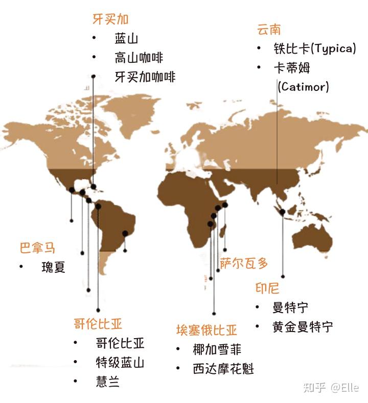 耶加雪菲地图图片