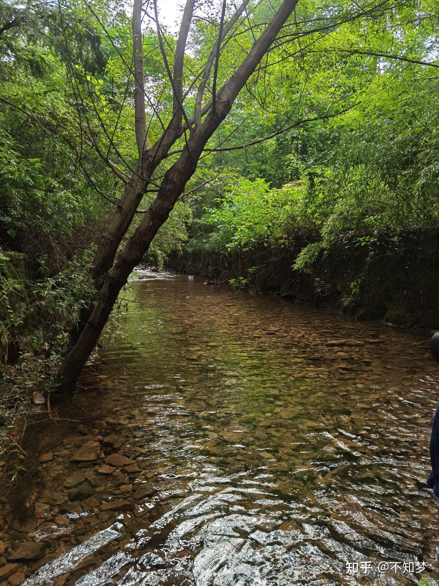 夏天在小溪里洗澡是怎样的体验?