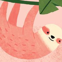 Zhihu profile picture for @wilcox