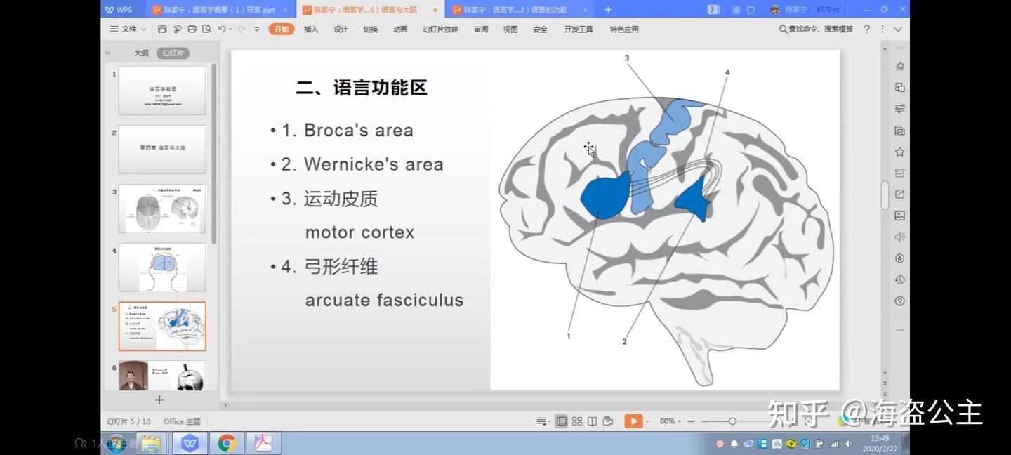 大脑是如何产生语言的? - 知乎