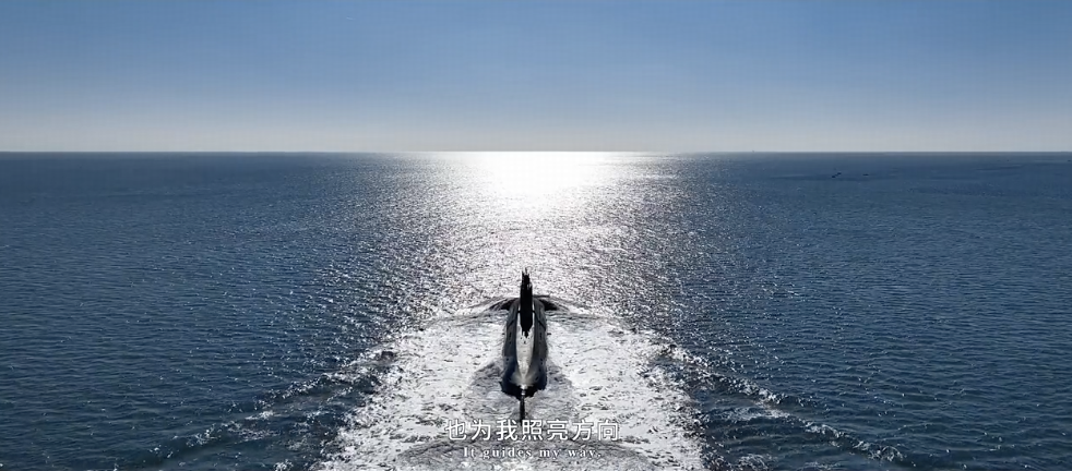 人民海军 77 周年宣传片发布，新兵名「何剑」、彩蛋「统一路」等透露了哪些信息？看完你有哪些感受？