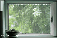 400_266gif 动态图 动图