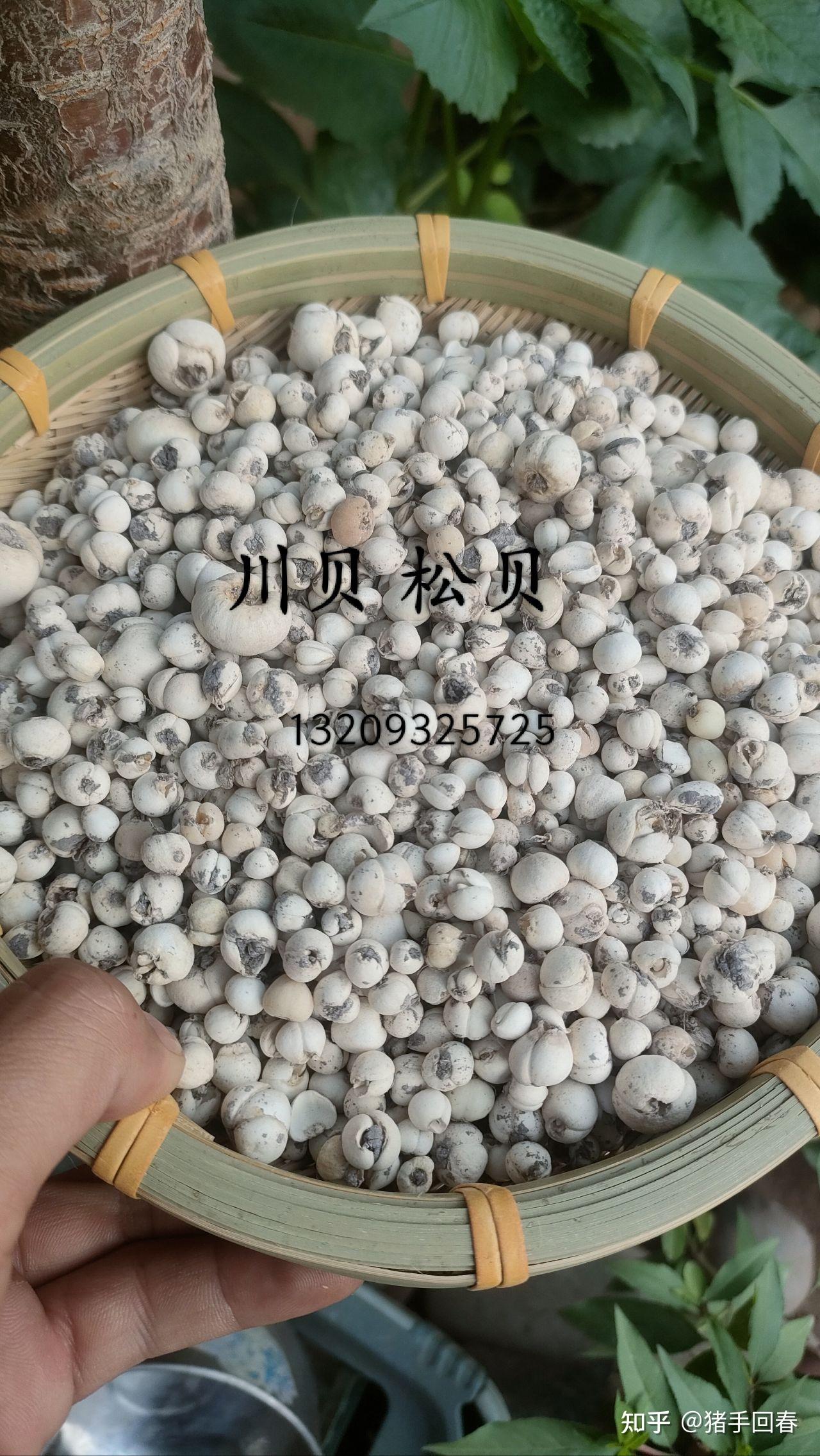 能不能说说你用过最神奇的民间偏方? - 知乎