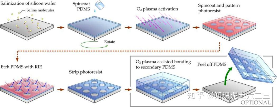 Pdhms Function PDMS在微芯片、生物模型等方面的应用,你了解吗? - 知乎