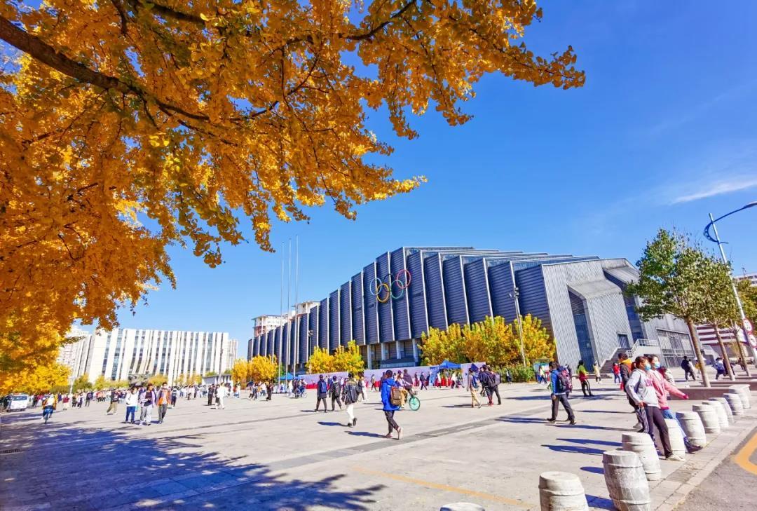 中国农业大学的校园环境如何?
