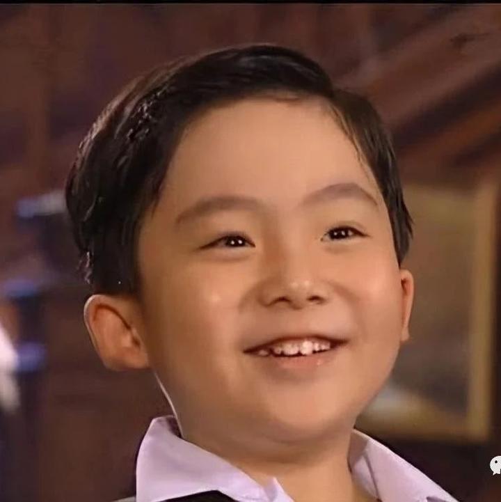 《情深深雨濛濛》解析35:尔杰是谁儿子?陆振华魏光雄都不认他