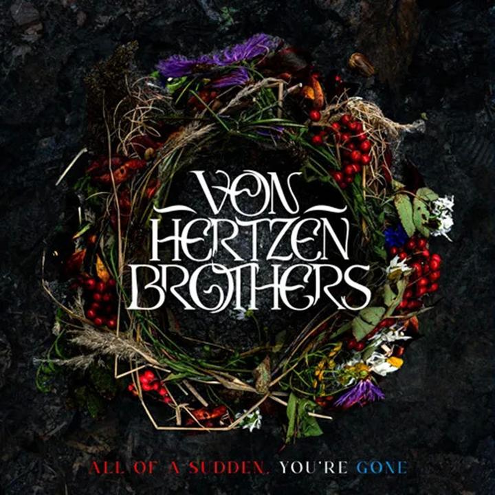 Von Hertzen Brothers - All Of A Sudden, You're Gone - 知乎