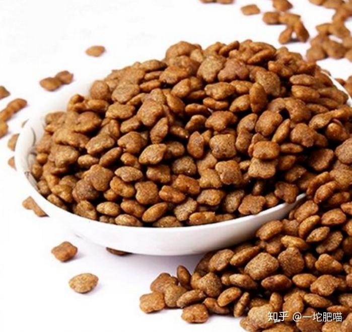 繁育之路第三章:猫舍的日常管理;第二节:种猫的饮食管理:猫粮、生肉、营养素、零食 - 知乎