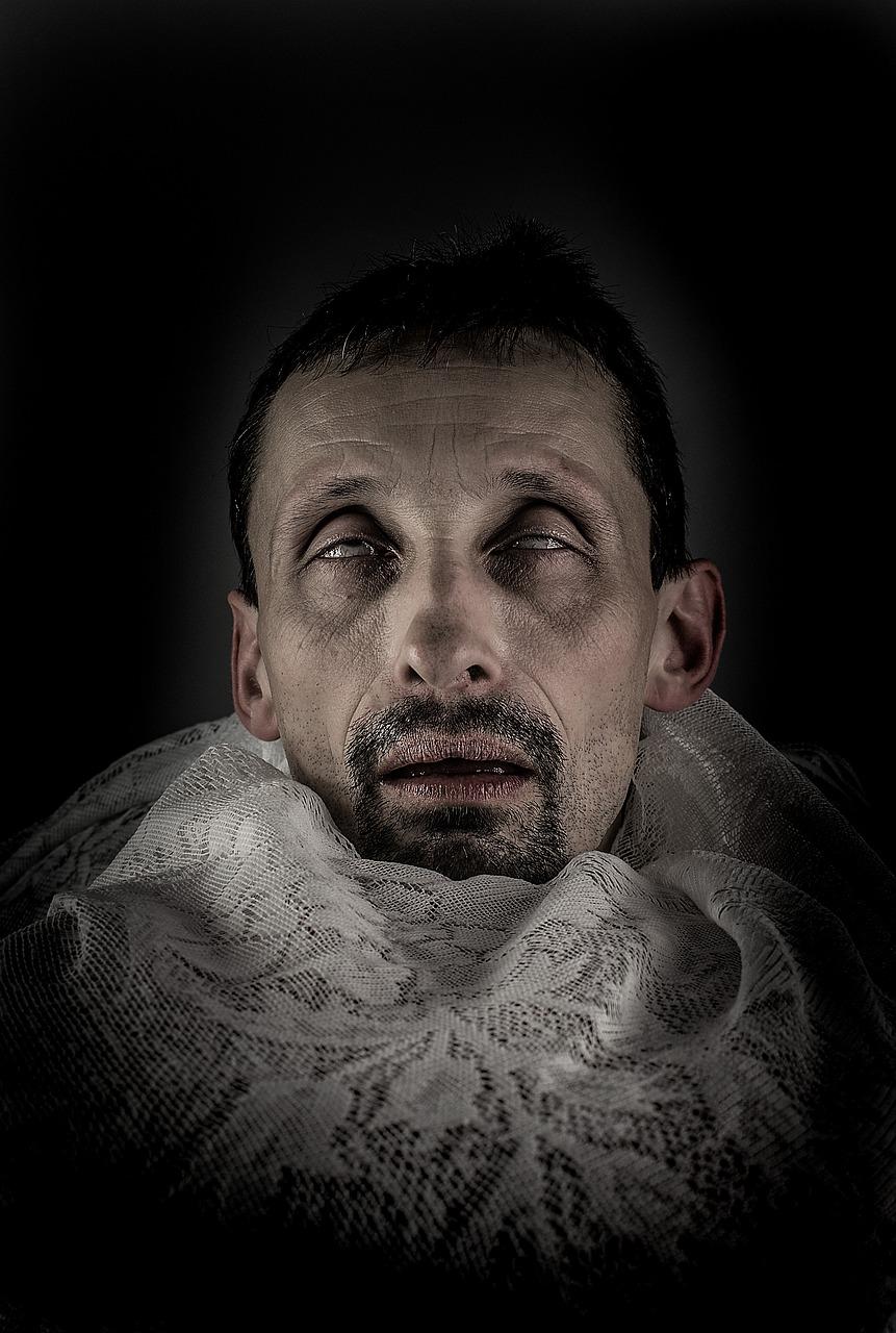 5. 满天星浪漫永恒