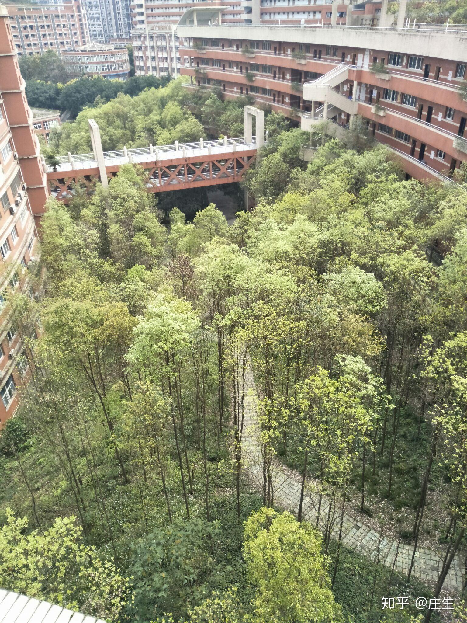 就读于涪陵五中是一种什么样的体验?