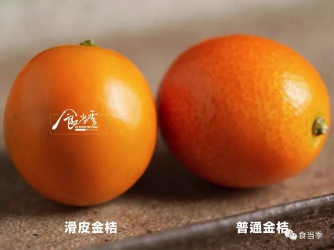 甜心滑皮金桔，从皮到芯都裹着甜 - 知乎