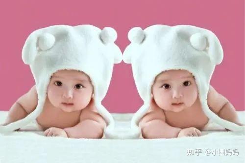 双胞胎是怎么形成的？ - 知乎