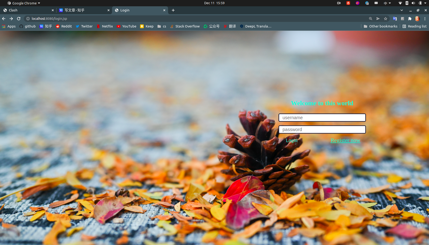 Java Web Demo - 知乎