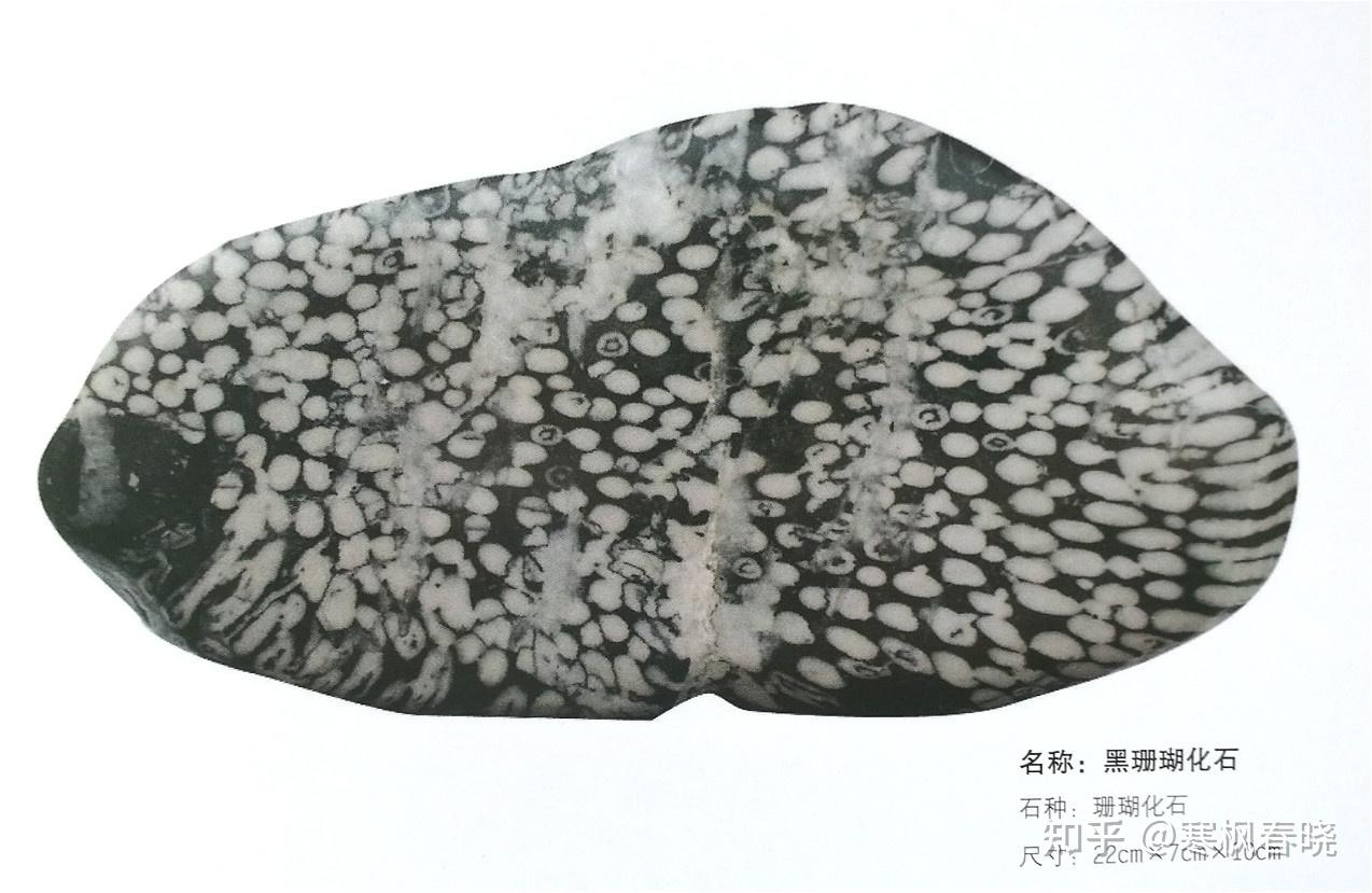 这种石头的花纹是怎么形成的? - 知乎
