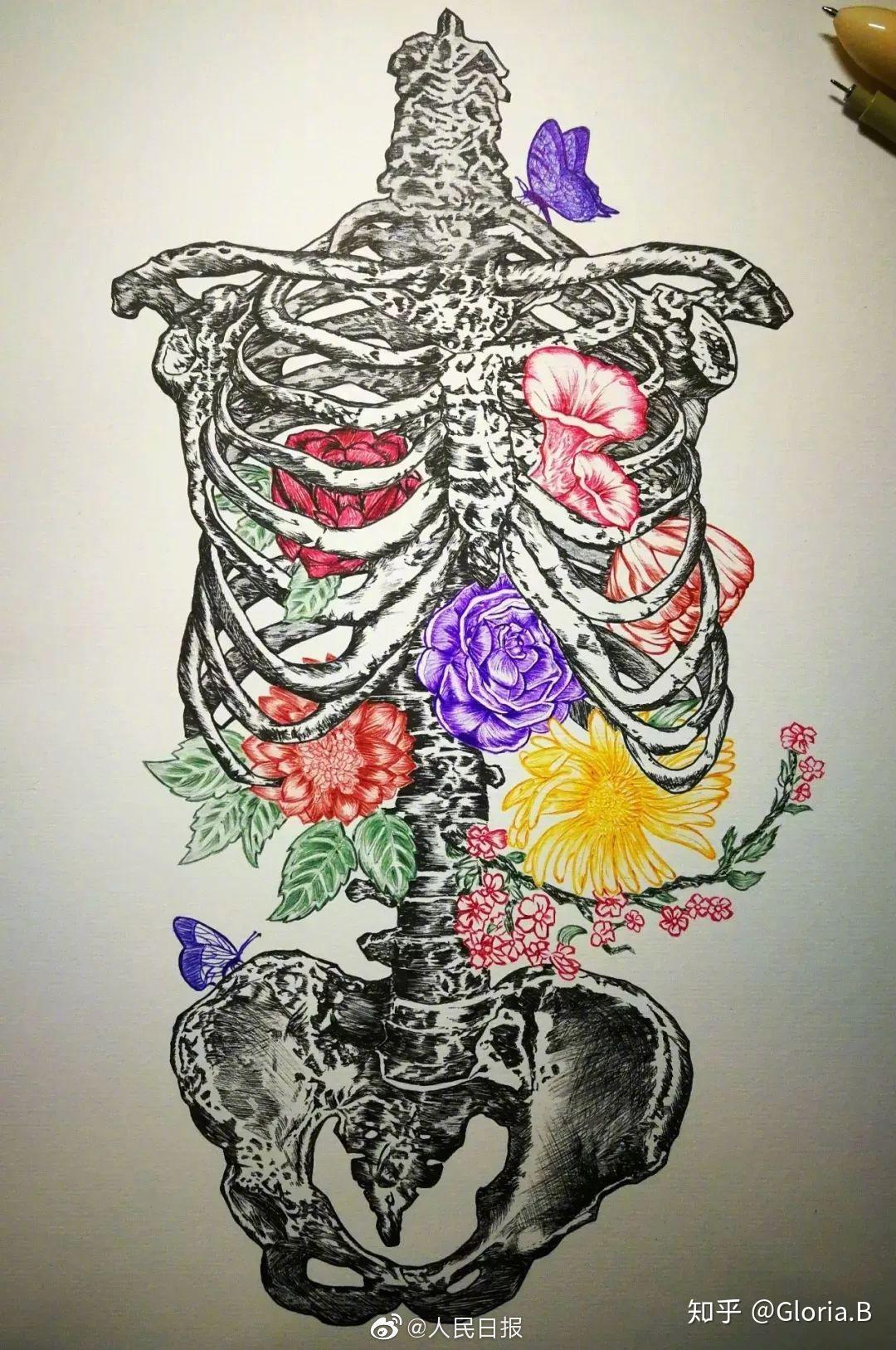 有哪些形态学绘图给你留下了深刻印象