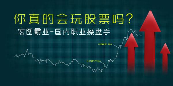 8507东北军公会行业与图表的一次完美邂逅