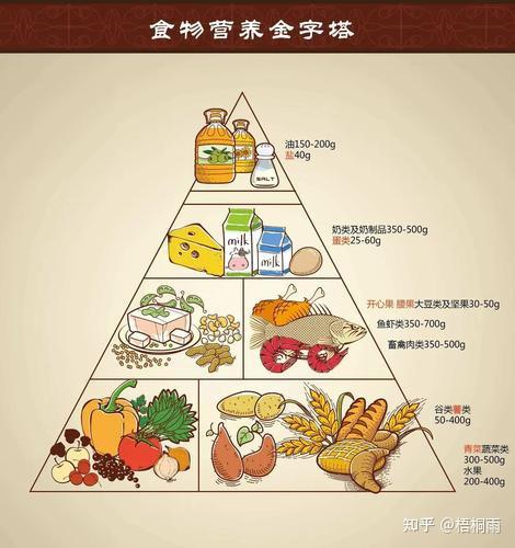 人体所需这些营养元素,您都知道哪些?
